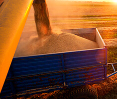 Material Handling Equipment